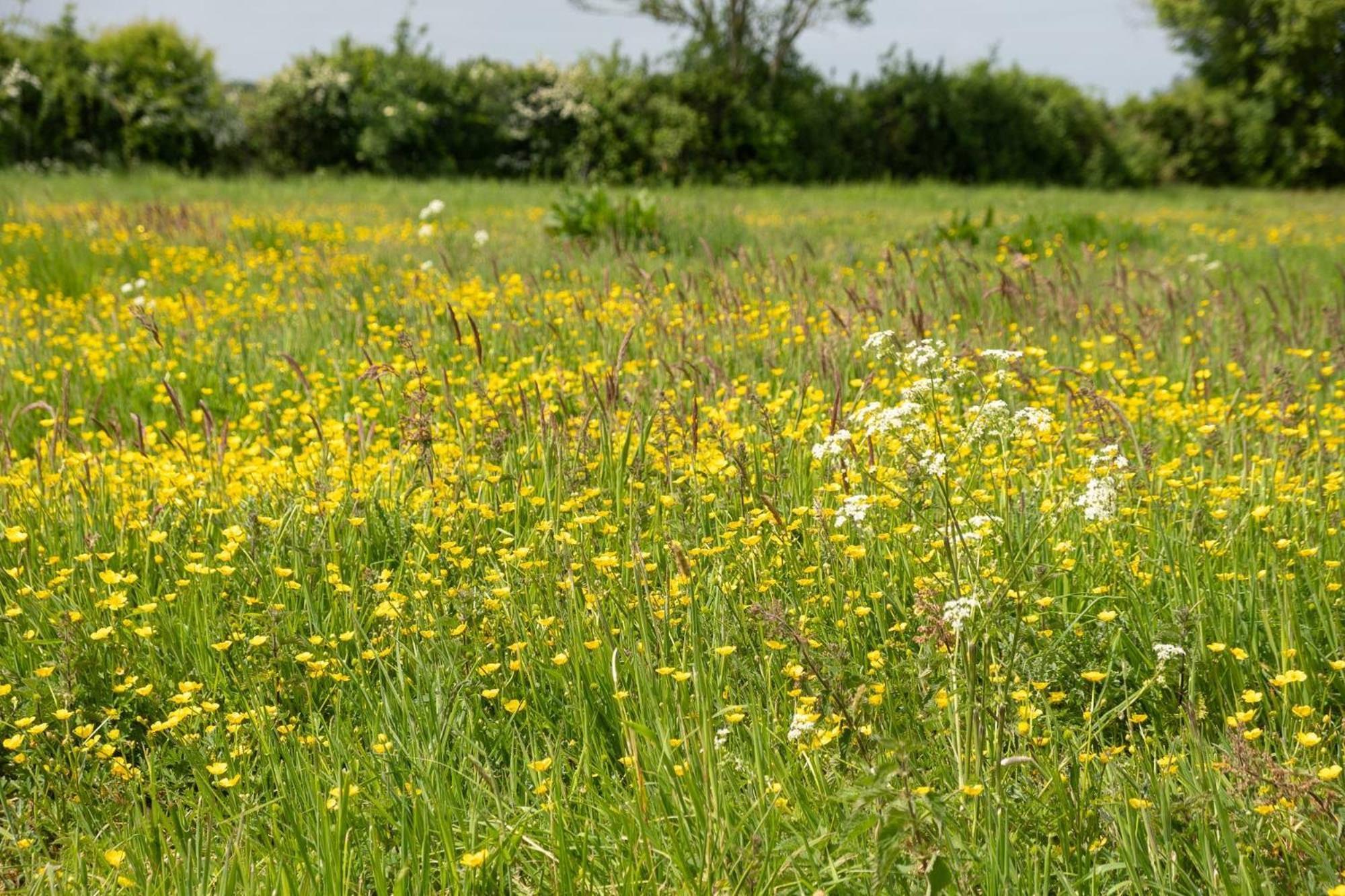 East Green Farm Cottages - The Granary Saxmundham Eksteriør bilde